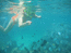 Подводный мир на рифе в отеле Десерт роуз