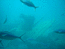 Вид из иллюминатора подводной лодки